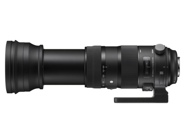 SIGMA AF 150-600mm Contemporary